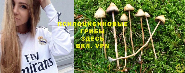 эйфоретик Валдай