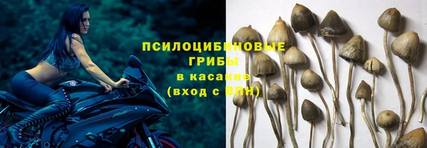 эйфоретик Валдай