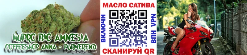 купить   Бодайбо  Дистиллят ТГК вейп 