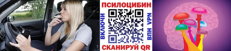 ссылка на мегу ссылка  Бодайбо  Галлюциногенные грибы Psilocybe 